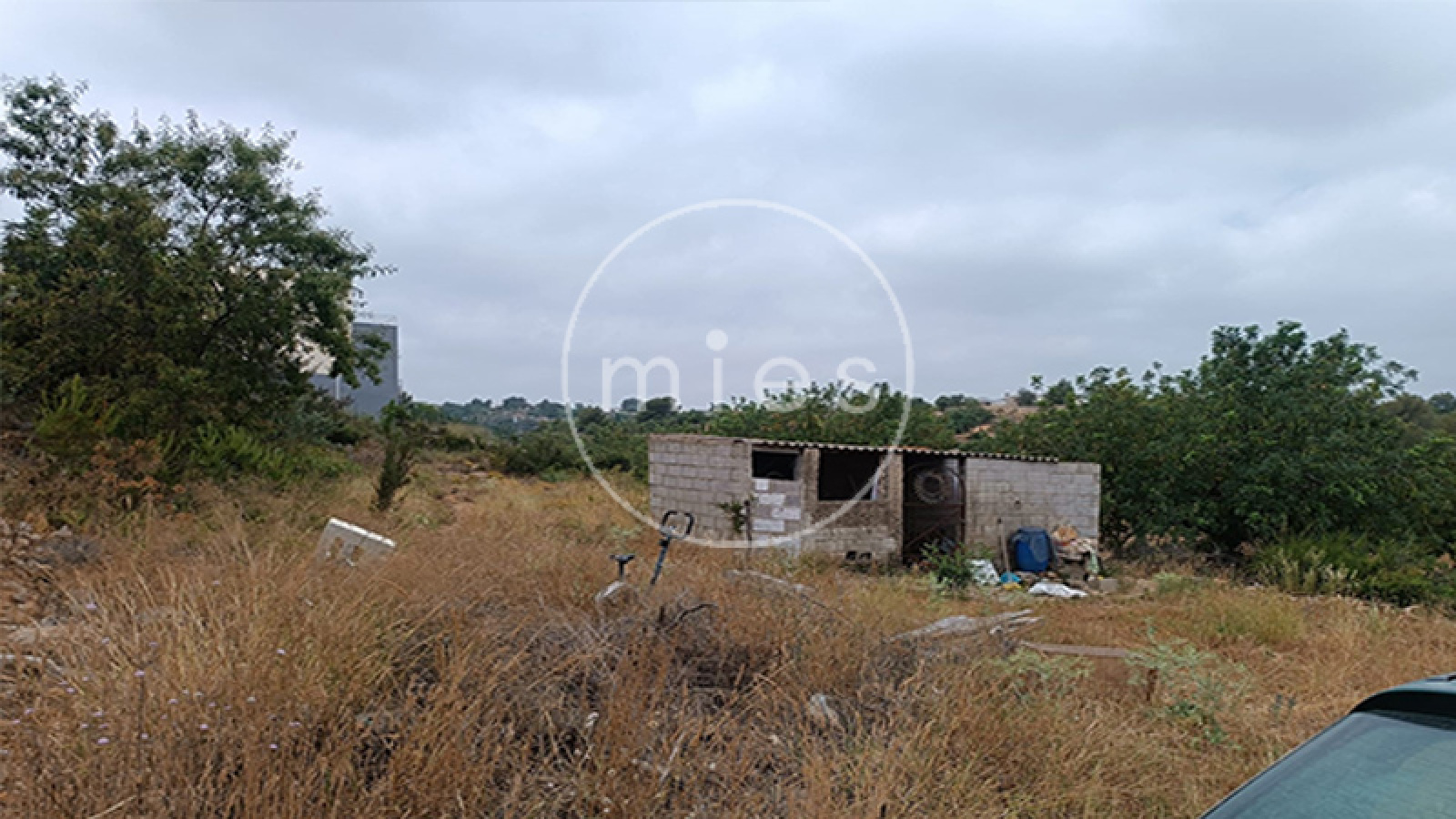 mies inmobiliaria torrent chiva