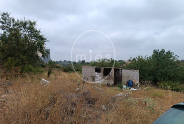 mies inmobiliaria torrent chiva