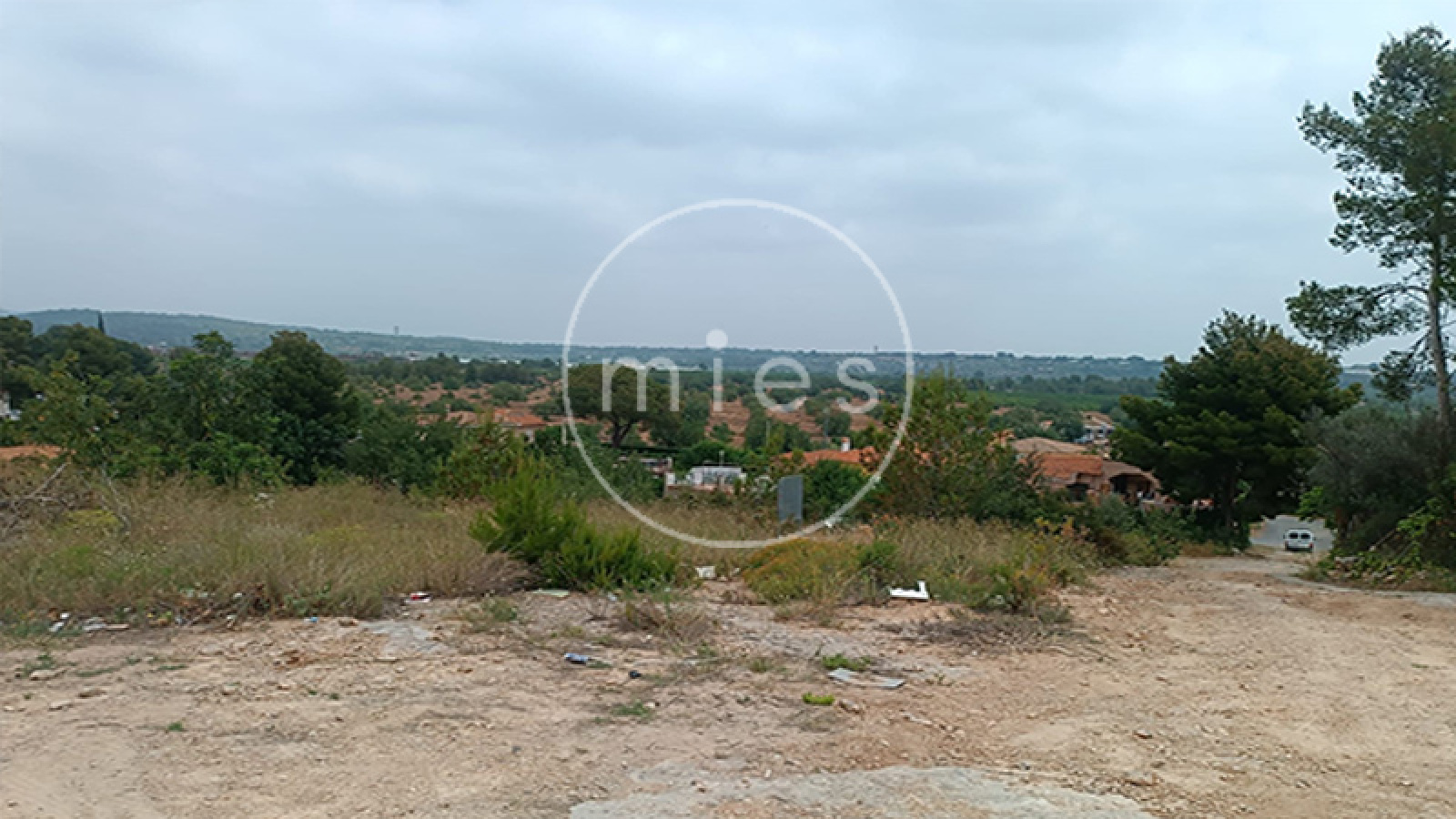 mies inmobiliaria torrent chiva