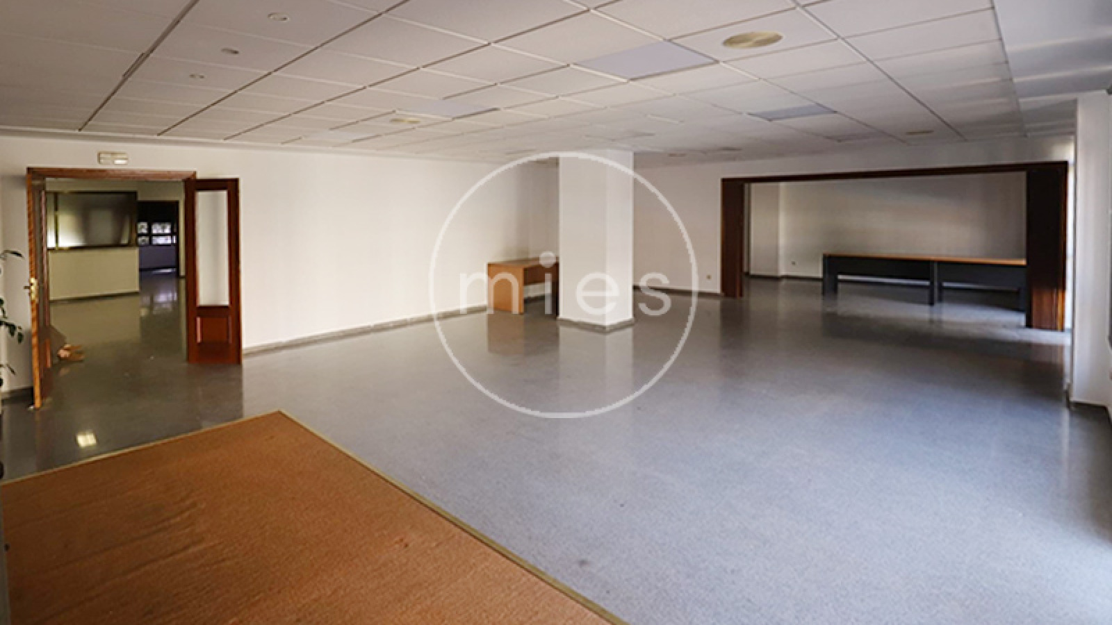 mies inmobiliaria vende alquila san isidro patraix valencia alabarta picanya 