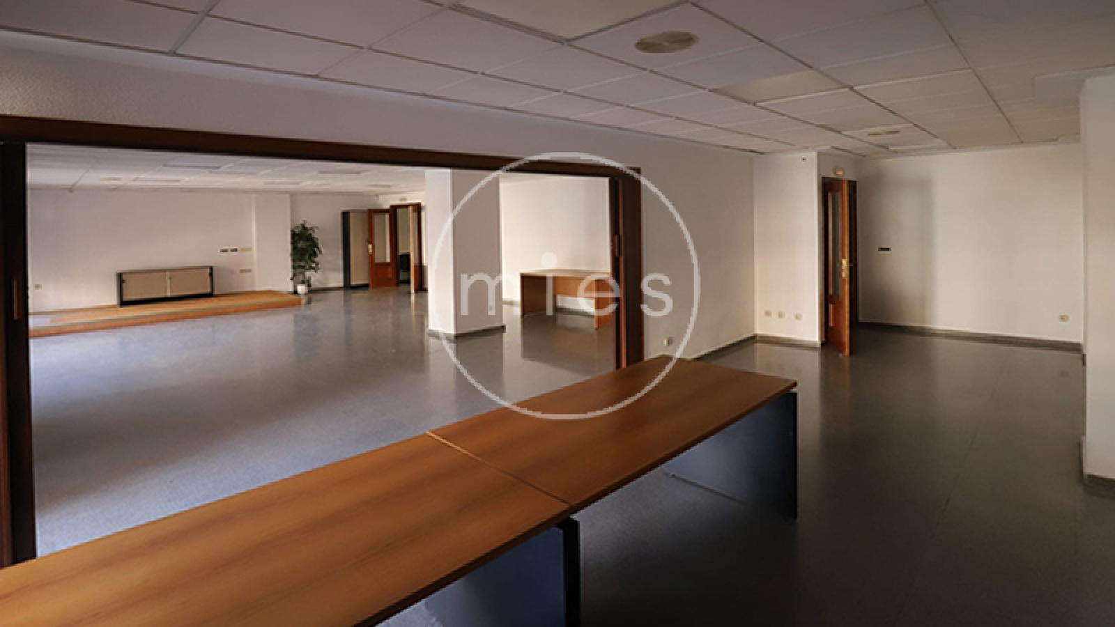 mies inmobiliaria vende alquila san isidro patraix valencia alabarta picanya 