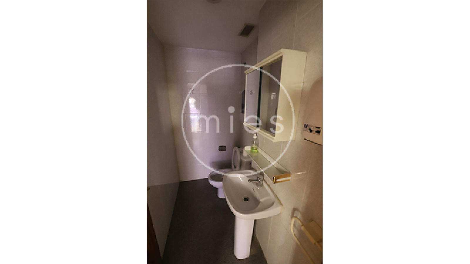 mies inmobiliaria vende alquila san isidro patraix valencia alabarta picanya 