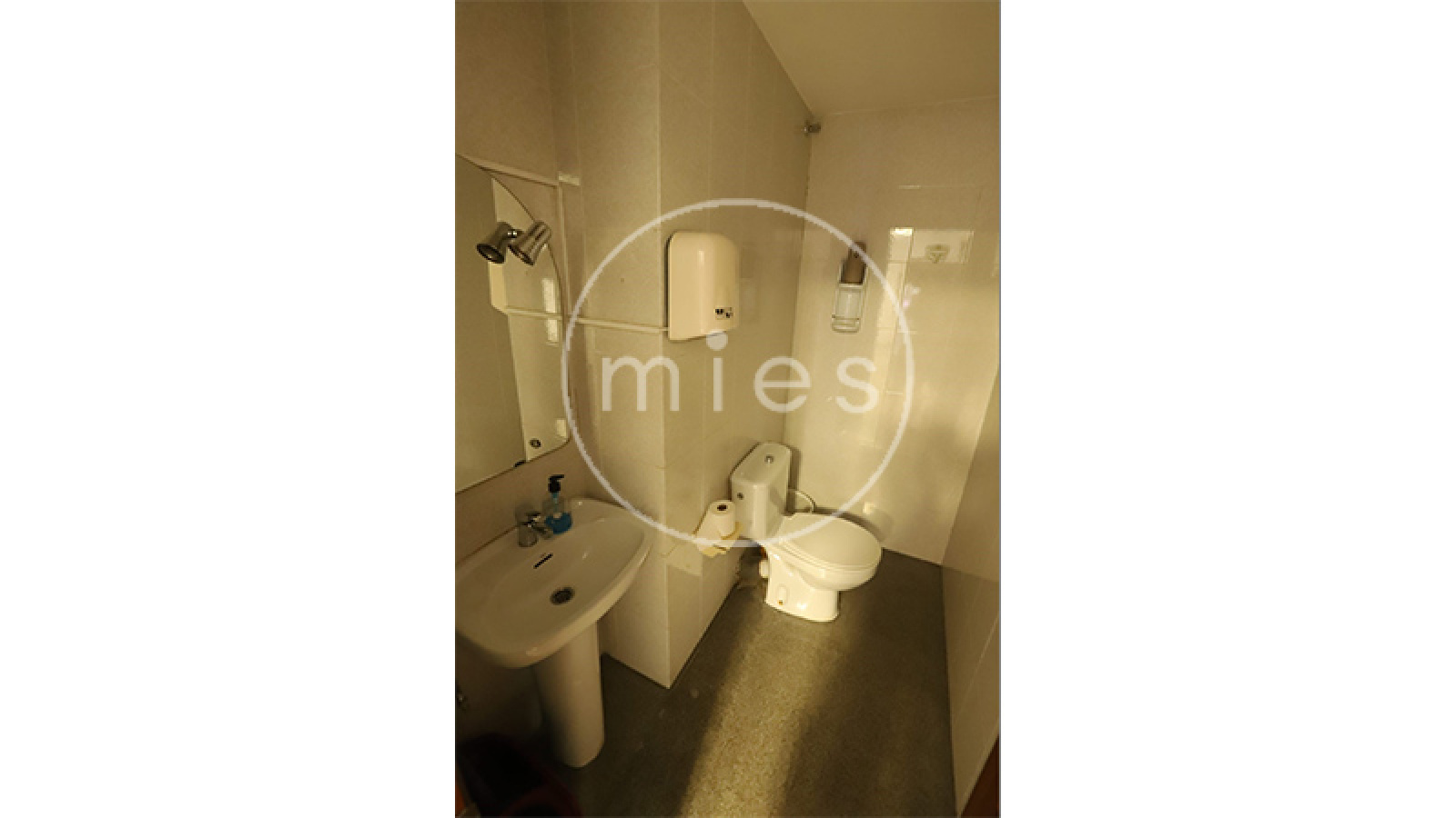 mies inmobiliaria vende alquila san isidro patraix valencia alabarta picanya 