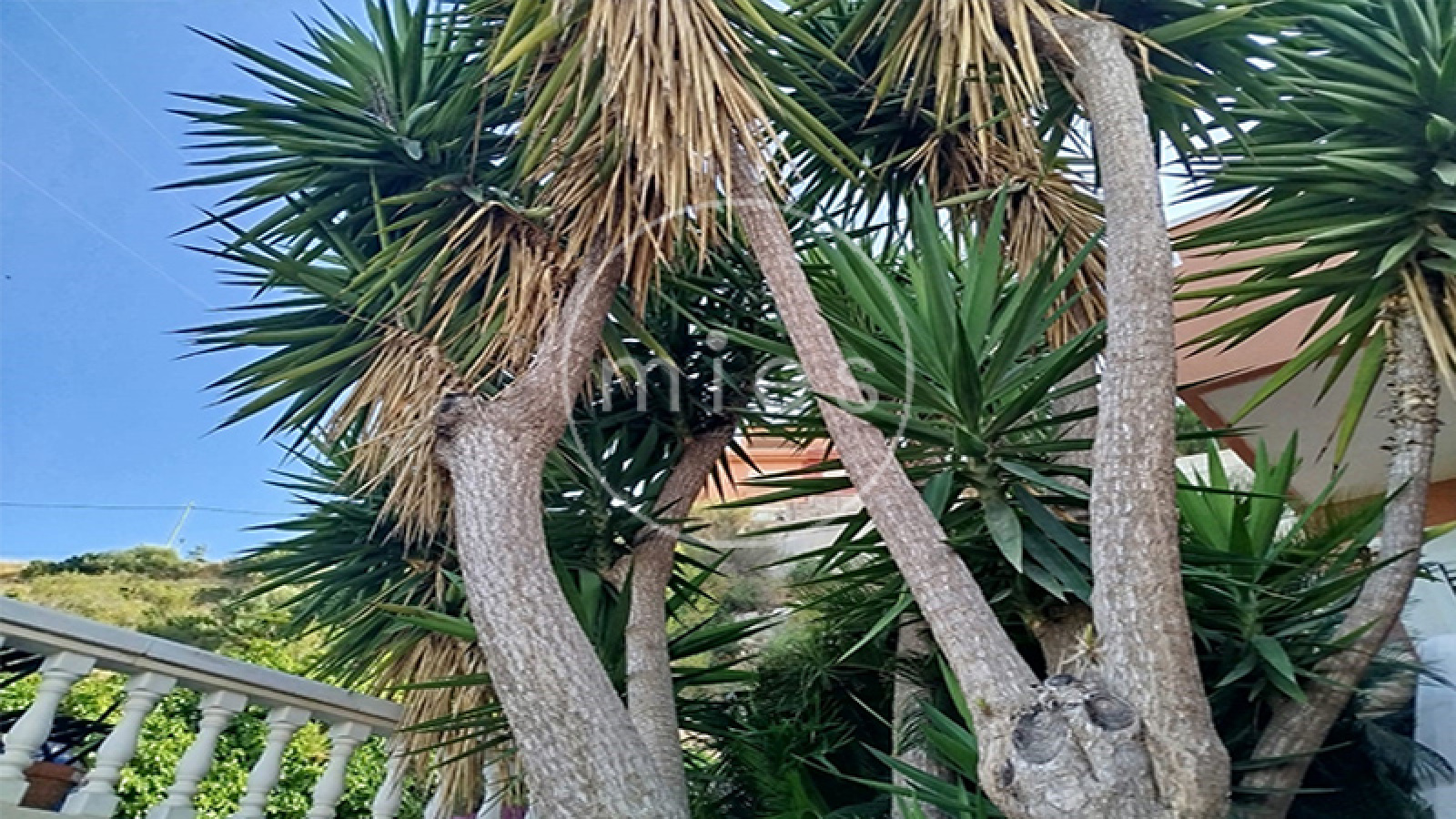 Mies inmobiliaria vende chalet urbano torrent calicanto chiva oportunidad