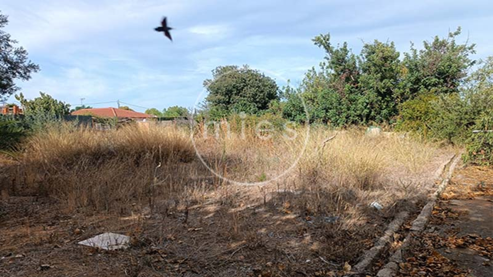 mies inmobiliaria, vende, chalet, manises, casa, caseta, terreno, urbano, aeropuerto, agencia, financiación, hipoteca