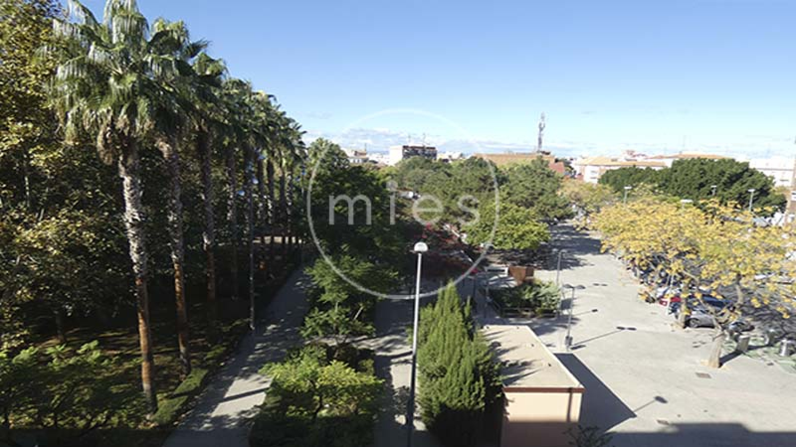 mies inmobiliaria vende local piso aldaia inversión atención