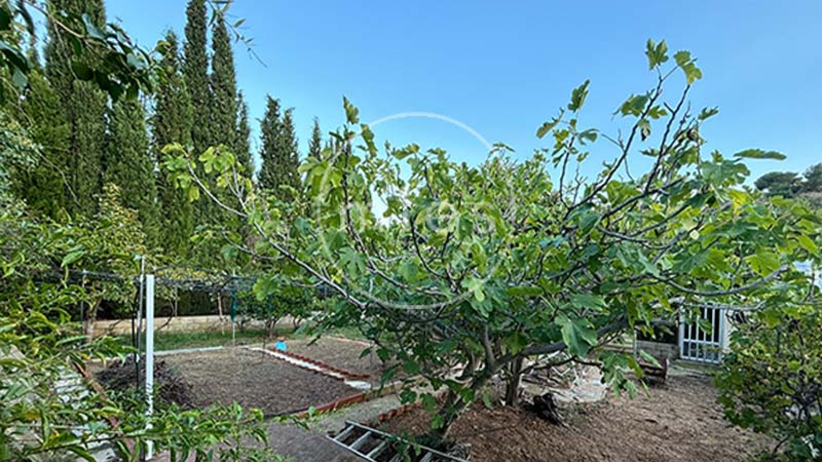 mies inmobiliaria vende chalet urbano 