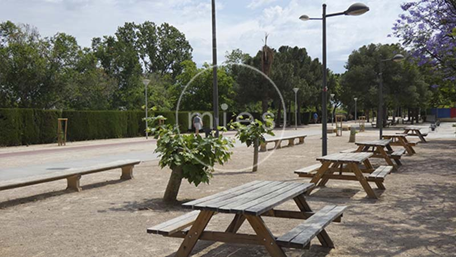 mies inmobiliaria vende local aldaia