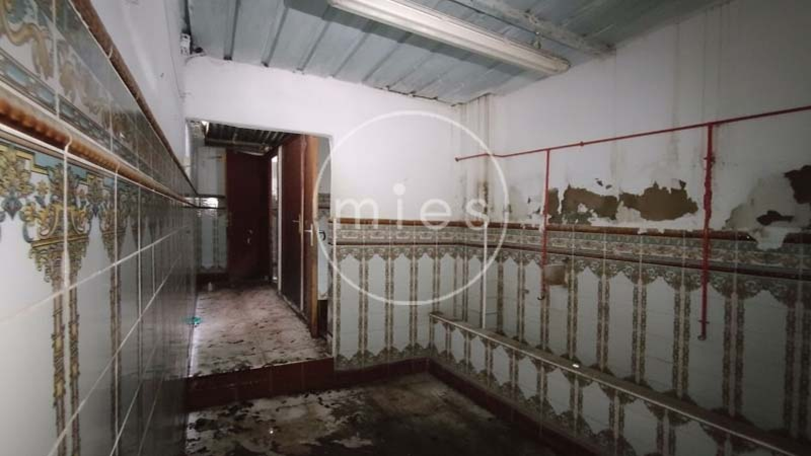 vivienda local cambio uso torrent moli