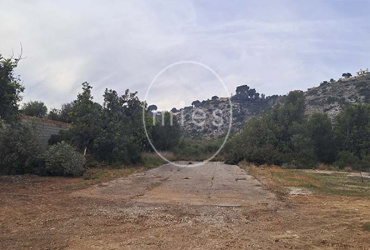 mies inmobiliaria vende local nave  piramide torrent