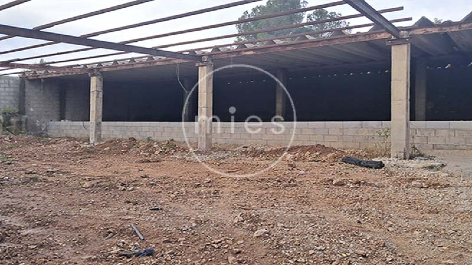 mies inmobiliaria vende local nave  piramide torrent