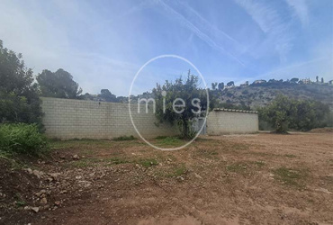 mies inmobiliaria vende local nave  piramide torrent