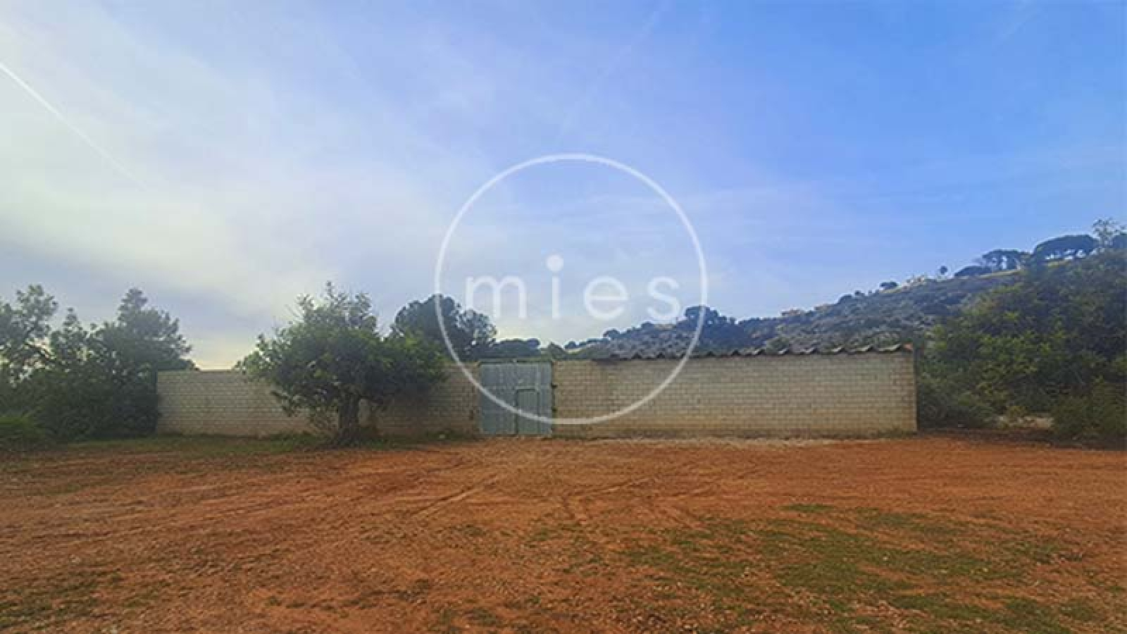 mies inmobiliaria vende local nave  piramide torrent