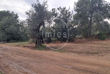 mies inmobiliaria vende local nave  piramide torrent