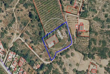 mies inmobiliaria vende local nave  piramide torrent