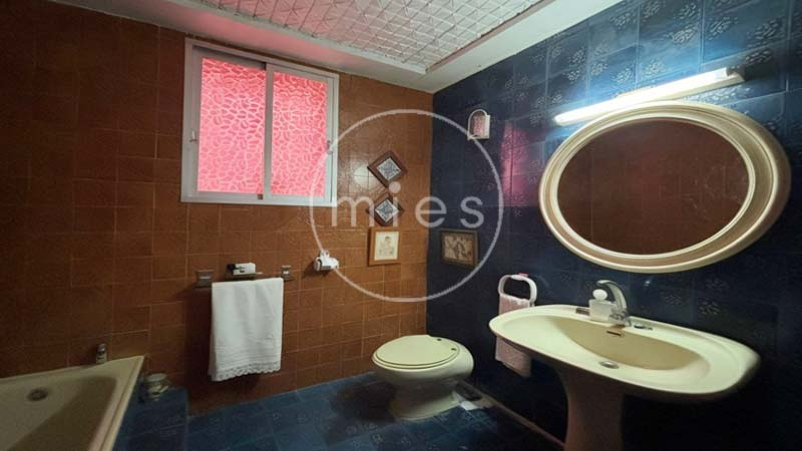 EN TURÍS INMOBILIARIA MIES VENDE