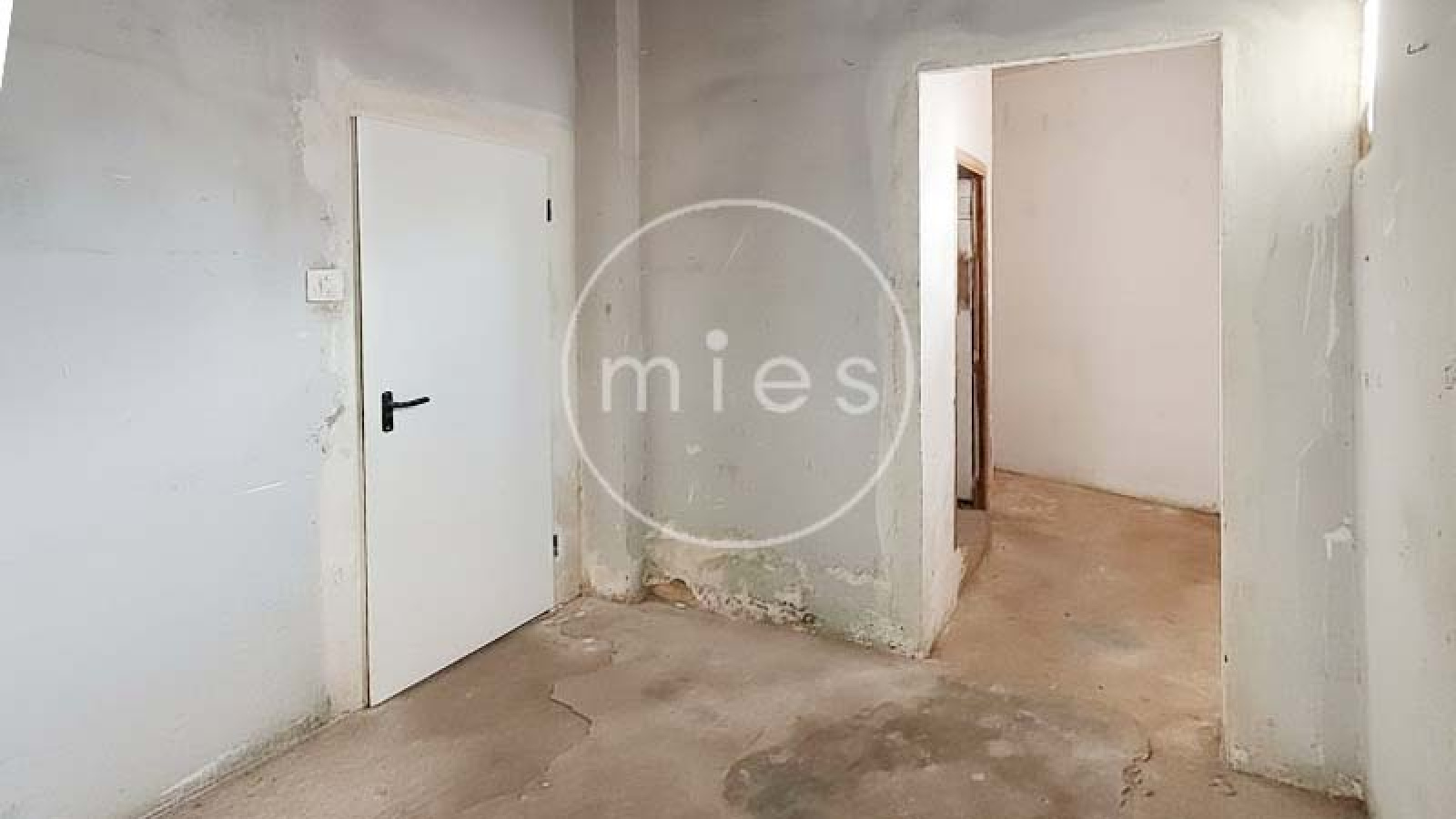 mies inmobiliaria, local planta baja, local esquinero, cambio de uso a vivienda, local para convertir en vivienda, inversión inmobiliaria, bajo a pie de calle, local reformar, oportunidad inmobiliaria, locales con potencial, comprar local para vivienda