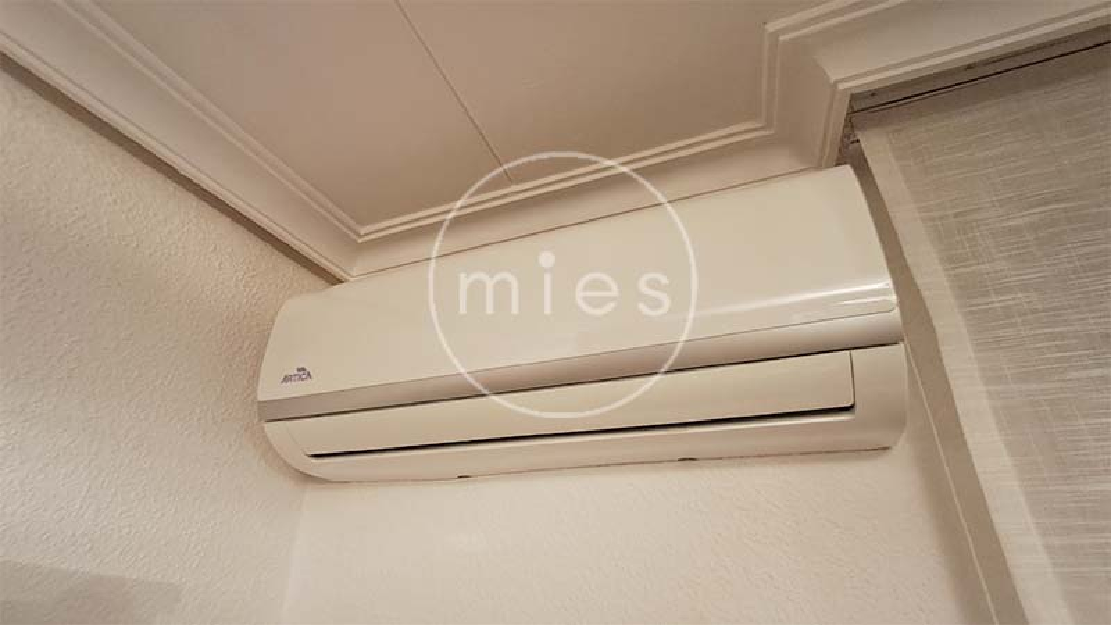 edificio en venta Torrent, finca en venta Torrent, edificio completo Torrent, inversión inmobiliaria Torrent, casa con dos viviendas Torrent, edificio con garaje grande, edificio con terraza Torrent, vivienda cerca Plaza San Pascual, inmueble Avenida al Vedat, edificio Avenida Padre Méndez, edificio rentable Valencia, edificio con posibilidad cambio de uso, edificio familiar Torrent, inmueble alta rentabilidad