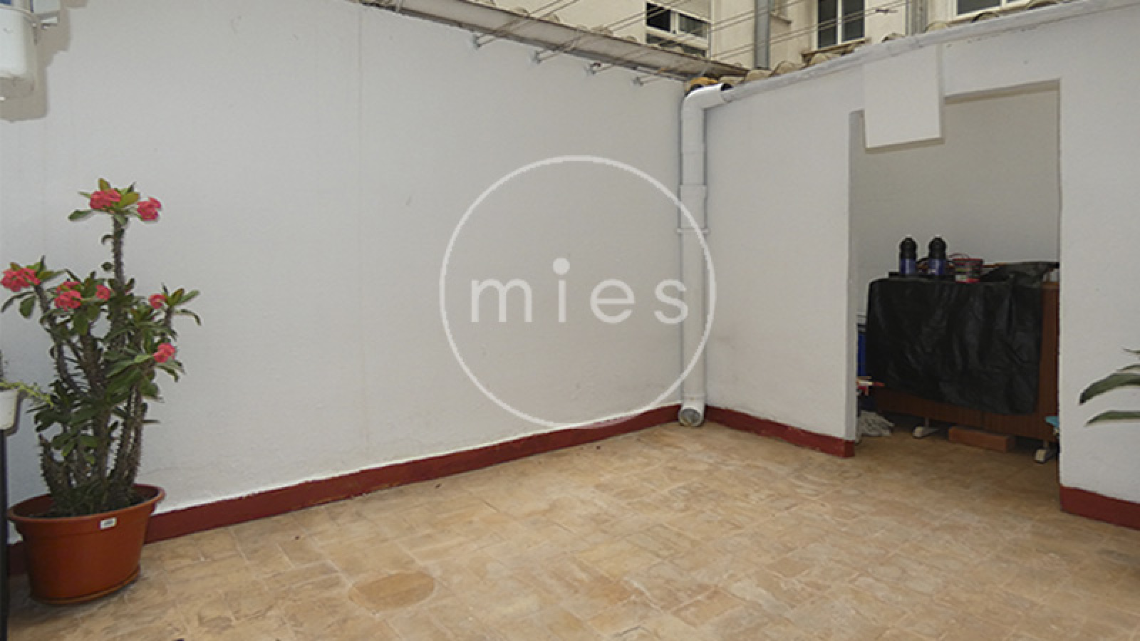 mies inmobiliaria agencia recomendada torrent idealsta