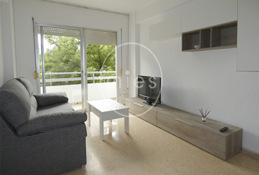 mies inmobiliaria agencia recomendada torrent idealsta