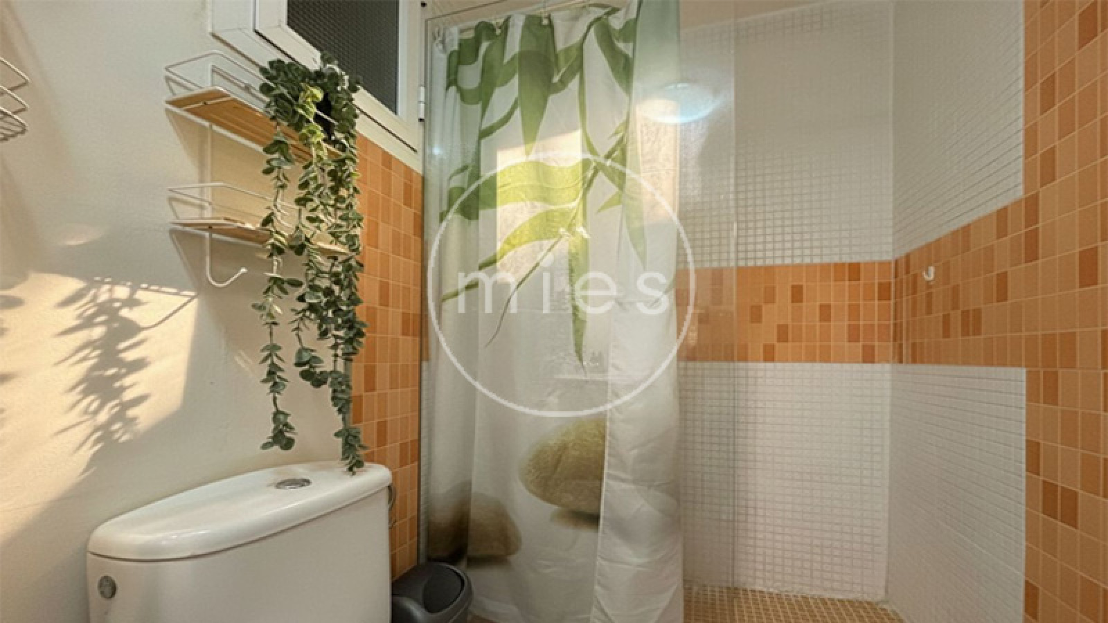 Mies Gestión Inmobiliaria, inmobiliaria en Xirivella, piso en venta Xirivella, pisos en venta cerca de Valencia, comprar piso en Xirivella, vivienda reformada Xirivella, inmobiliaria l’Horta Sud, pisos baratos Valencia alrededores, inmobiliaria Valencia, comprar vivienda Xirivella, Mies inmobiliaria Valencia.