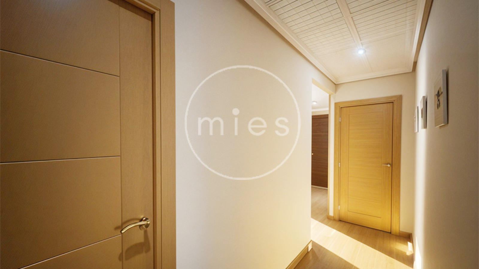 Mies Gestión Inmobiliaria, inmobiliaria en Xirivella, piso en venta Xirivella, pisos en venta cerca de Valencia, comprar piso en Xirivella, vivienda reformada Xirivella, inmobiliaria l’Horta Sud, pisos baratos Valencia alrededores, inmobiliaria Valencia, comprar vivienda Xirivella, Mies inmobiliaria Valencia.