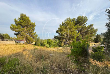 mies inmobiliaria parcela urbana en altury turis