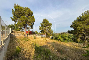 mies inmobiliaria parcela urbana en altury turis