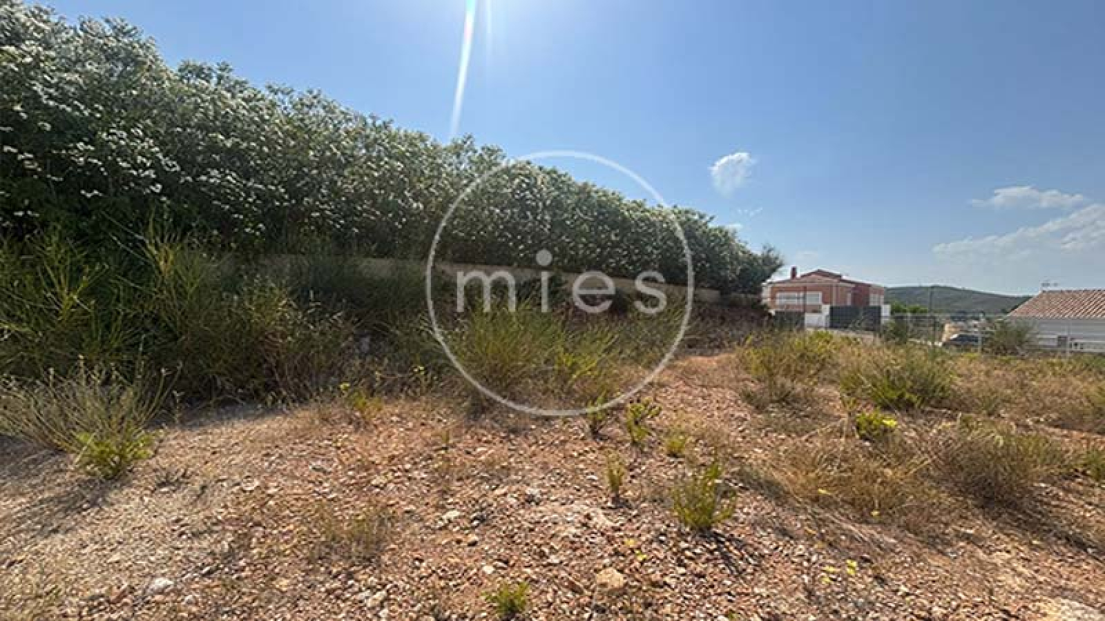 mies inmobiliaira altury turis terreno solar chalet edificar construir