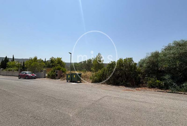 parcela urbana Turís, parcela Altury, terreno en venta Turís, parcela urbana Altury, solar urbano Turís, parcela edificable Valencia, terreno para chalet Turís, comprar parcela Altury, urbanización Altury Valencia, parcela con vistas Turís, suelo urbano Turís, parcela residencial Valencia, chalet Turís, inversión inmobiliaria Turís, MIES Inmobiliaria.