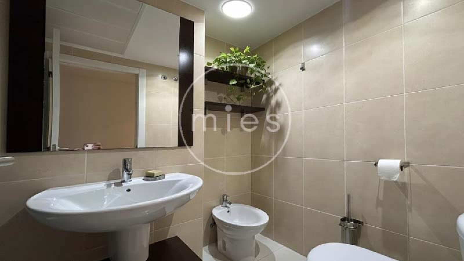piso en alquiler Paiporta, alquiler Paiporta, pisos en alquiler Paiporta, alquiler larga duración Paiporta, piso amueblado Paiporta, piso 3 habitaciones Paiporta, piso con garaje Paiporta, piso 2 baños Paiporta, alquiler vivienda Paiporta, inmobiliaria Paiporta, MIES Inmobiliaria Paiporta, agencia inmobiliaria Paiporta, alquiler cerca de Valencia, pisos en alquiler Valencia, vivienda en alquiler Horta Sud