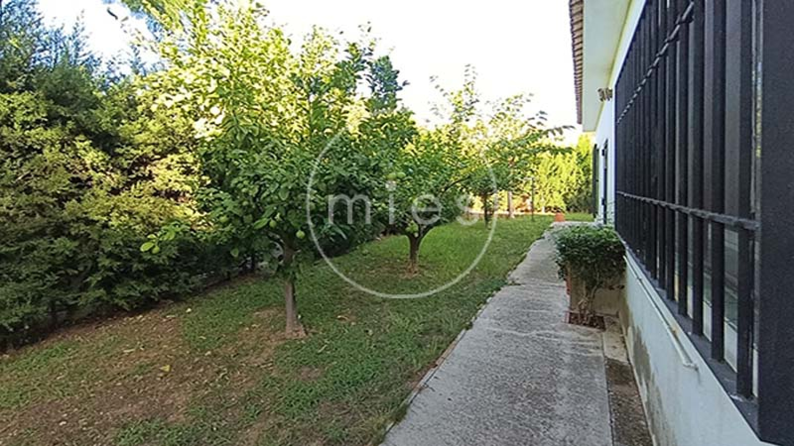 Mies Inmobiliaria, tu inmobiliaria en Valencia y alrededores. Encuentra pisos, casas y chalets en venta en Manises, Valencia y otras localidades.