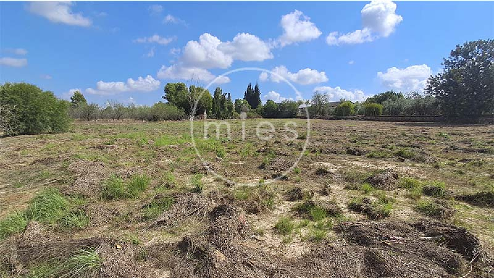 finca rústica Torrent, finca en Torrent, casa de campo Torrent, parcela rústica Torrent, terreno rústico Torrent, finca con casa Torrent, caseta rústica Torrent, finca La Contienda Torrent, finca Monte Real Torrent, parcela 5580 m2 Torrent, casa de campo Valencia, finca para fines de semana Torrent, finca para reuniones familiares Torrent, finca para amigos y familia Torrent, Mies Inmobiliaria Torrent