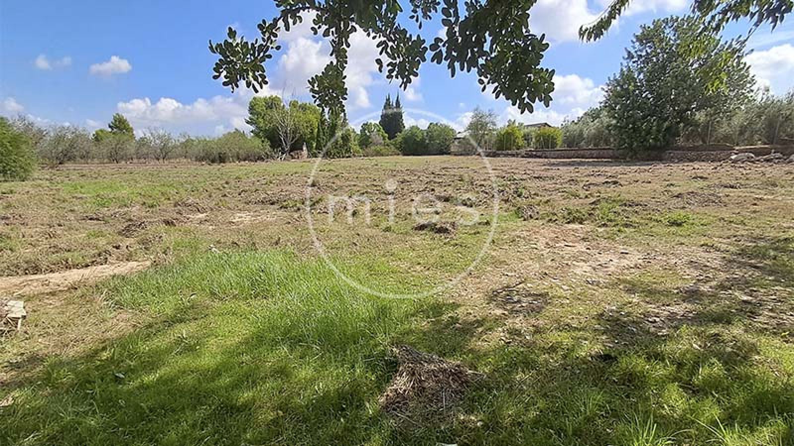 finca rústica Torrent, finca en Torrent, casa de campo Torrent, parcela rústica Torrent, terreno rústico Torrent, finca con casa Torrent, caseta rústica Torrent, finca La Contienda Torrent, finca Monte Real Torrent, parcela 5580 m2 Torrent, casa de campo Valencia, finca para fines de semana Torrent, finca para reuniones familiares Torrent, finca para amigos y familia Torrent, Mies Inmobiliaria Torrent