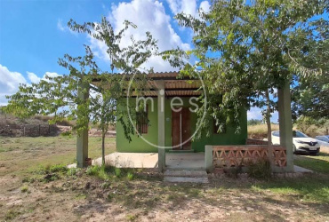 finca rústica Torrent, finca en Torrent, casa de campo Torrent, parcela rústica Torrent, terreno rústico Torrent, finca con casa Torrent, caseta rústica Torrent, finca La Contienda Torrent, finca Monte Real Torrent, parcela 5580 m2 Torrent, casa de campo Valencia, finca para fines de semana Torrent, finca para reuniones familiares Torrent, finca para amigos y familia Torrent, Mies Inmobiliaria Torrent