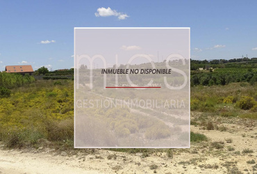 TERRENO RUSTICO MURRITON GODELLETA-MIES INMOBILIARIA VENDE 