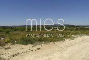 TERRENO RUSTICO MURRITON GODELLETA-MIES INMOBILIARIA VENDE 