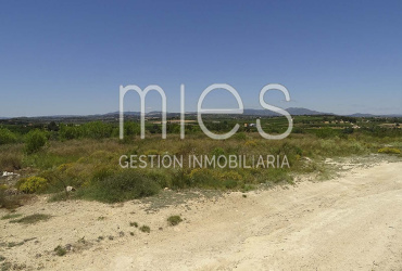 TERRENO RUSTICO MURRITON GODELLETA-MIES INMOBILIARIA VENDE 