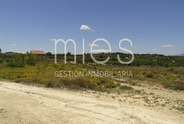 TERRENO RUSTICO MURRITON GODELLETA-MIES INMOBILIARIA VENDE 