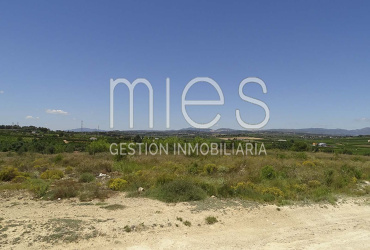 TERRENO RUSTICO MURRITON GODELLETA-MIES INMOBILIARIA VENDE 