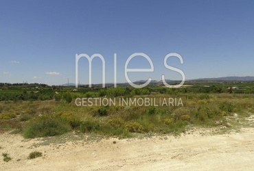 TERRENO RUSTICO MURRITON GODELLETA-MIES INMOBILIARIA VENDE 