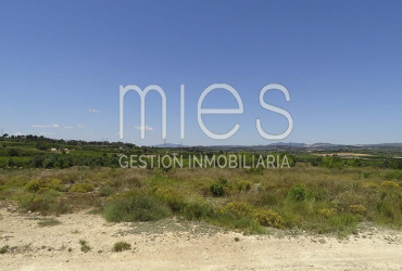 TERRENO RUSTICO MURRITON GODELLETA-MIES INMOBILIARIA VENDE 